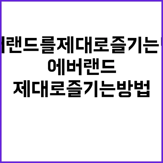 에버랜드를 제대로 …