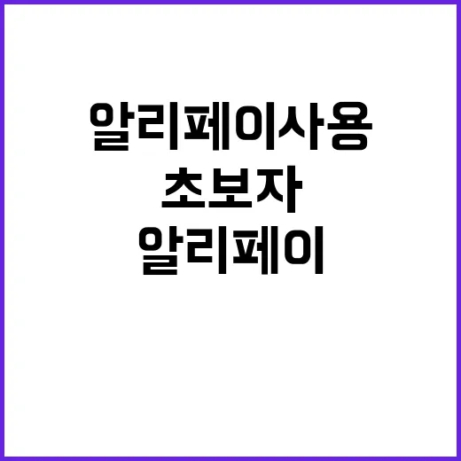 초보자를 위한 알리…