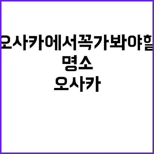 오사카에서 꼭 가봐…