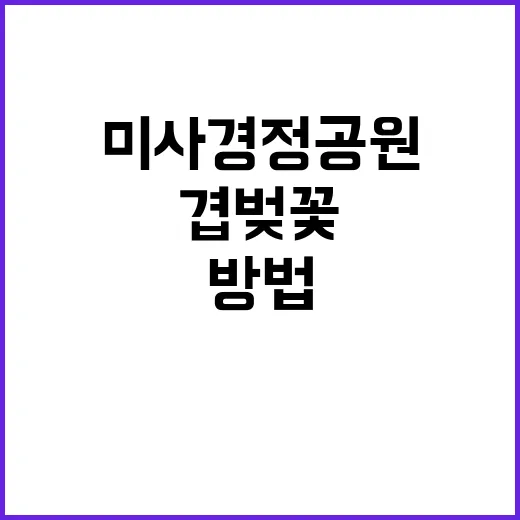 미사경정공원의 겹벚…