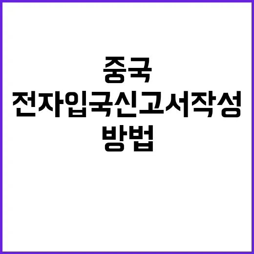 중국 전자입국신고서…
