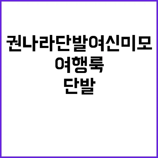 권나라 단발 여신 …
