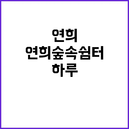 연희숲속쉼터에서 평…