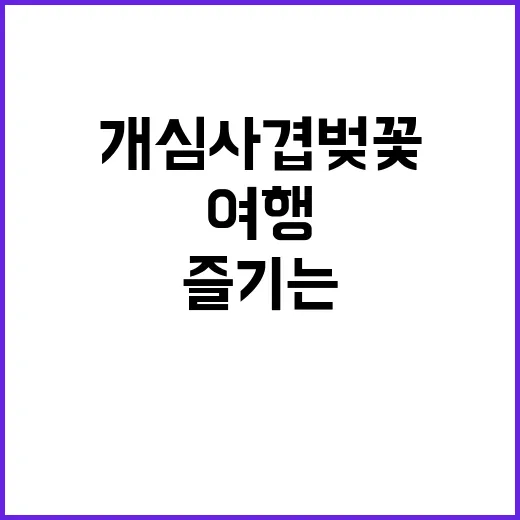 개심사 겹벚꽃을 즐…