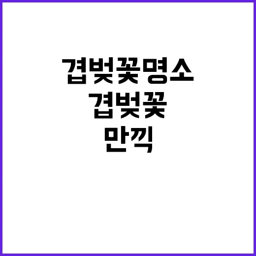 겹벚꽃 명소를 만끽하는 방법