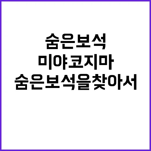 미야코지마를 즐기는…