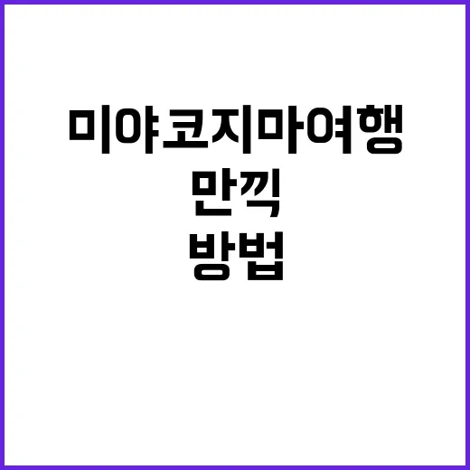 미야코지마 여행을 …