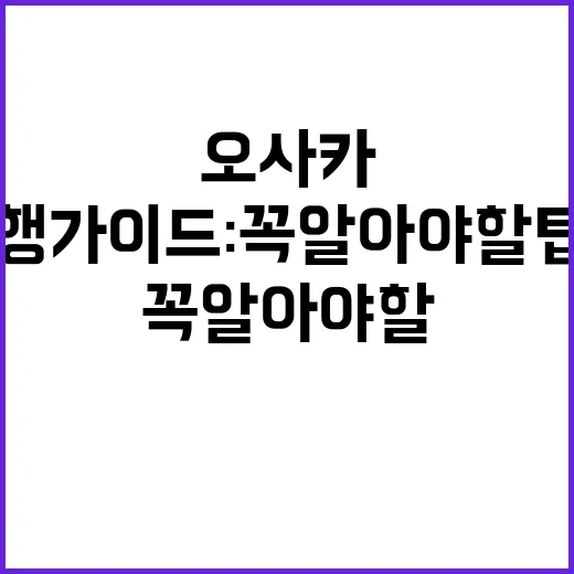 초보자를 위한 오사…