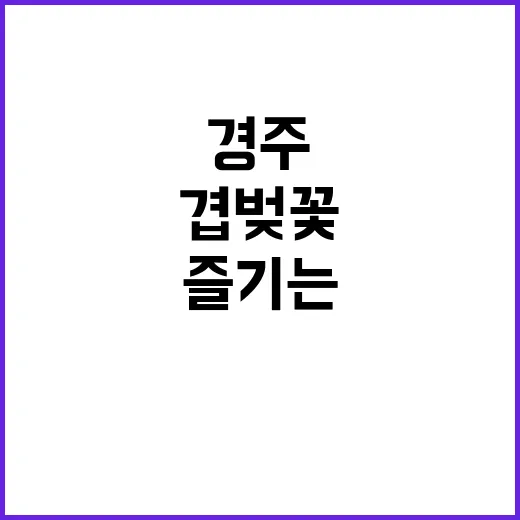 경주에서 겹벚꽃을 …