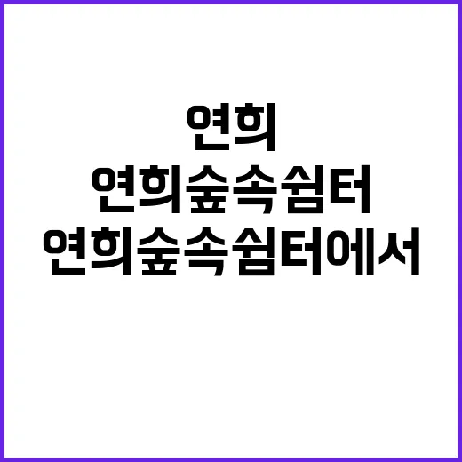 연희숲속쉼터에서 마음의 평화를 찾는 방법