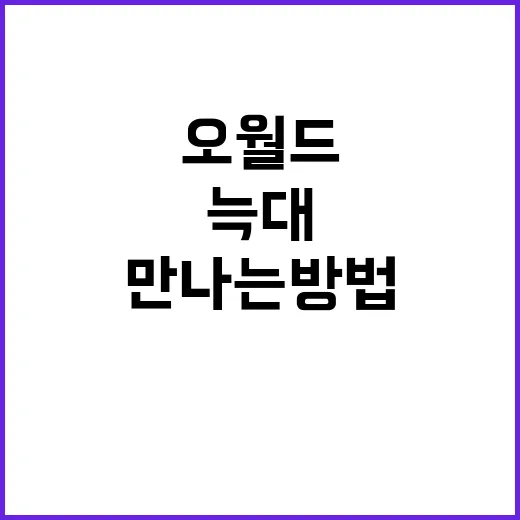 오월드에서 늑대를 만나는 방법