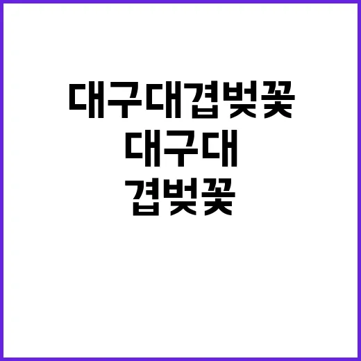 대구대 겹벚꽃을 즐기는 방법