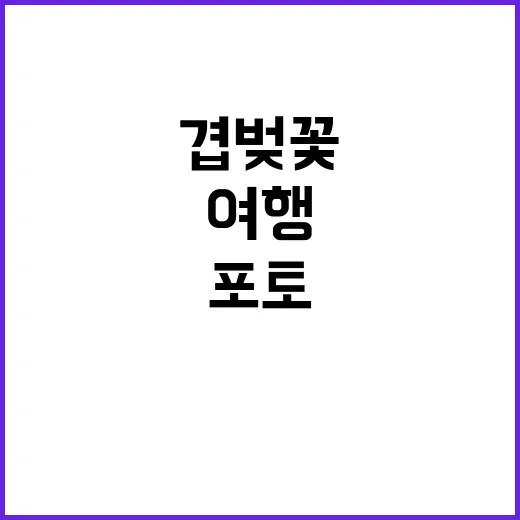 대구 겹벚꽃을 즐기…