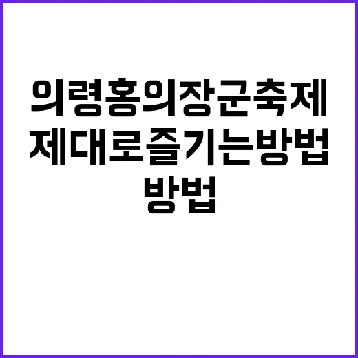 의령 홍의장군축제를…