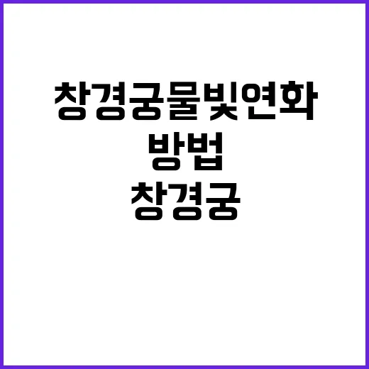창경궁 물빛연화를 …
