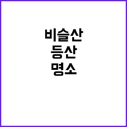 비슬산을 완벽히 즐…