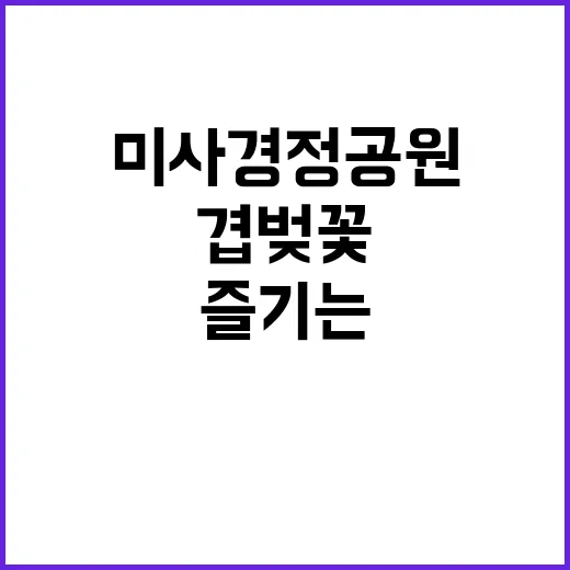 미사경정공원에서 겹벚꽃을 즐기는 방법