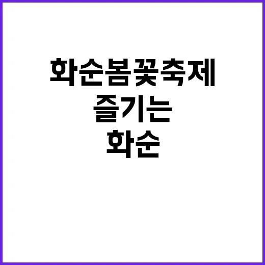 화순 봄꽃 축제를 즐기는 방법