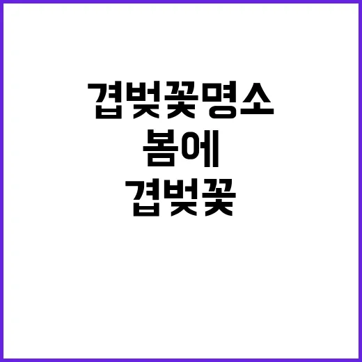 봄에 꼭 방문해야 …