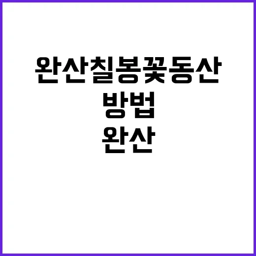 완산칠봉꽃동산을 완…