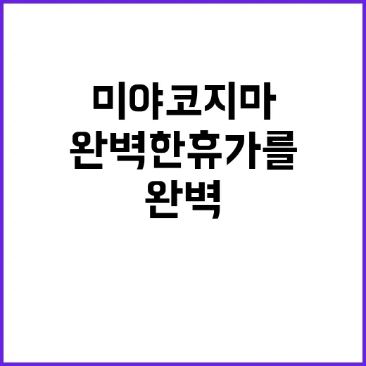미야코지마에서 완벽…