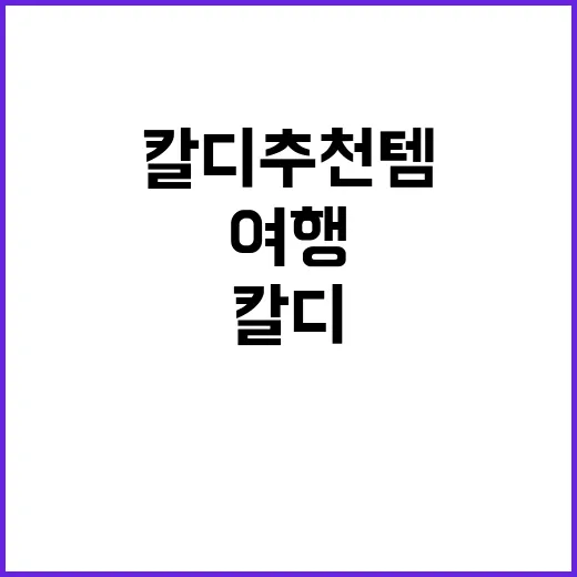 여행 중 꼭 챙겨야…