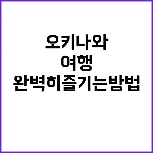 오키나와 여행을 완…