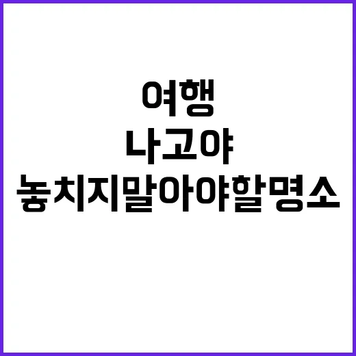 처음 나고야를 여행하는 방법: 놓치지 말아야 할 명소와 음식