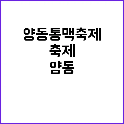 양동 통맥축제를 만…