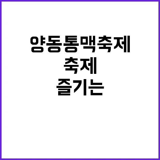 양동통맥축제를 즐기…