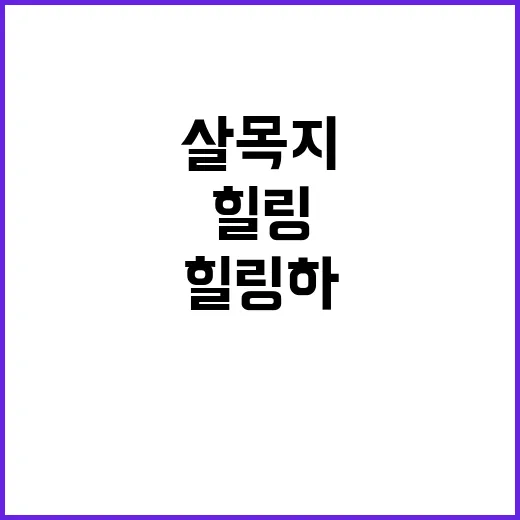 살목지를 방문하는 …