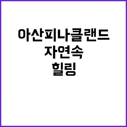 아산 피나클랜드를 …