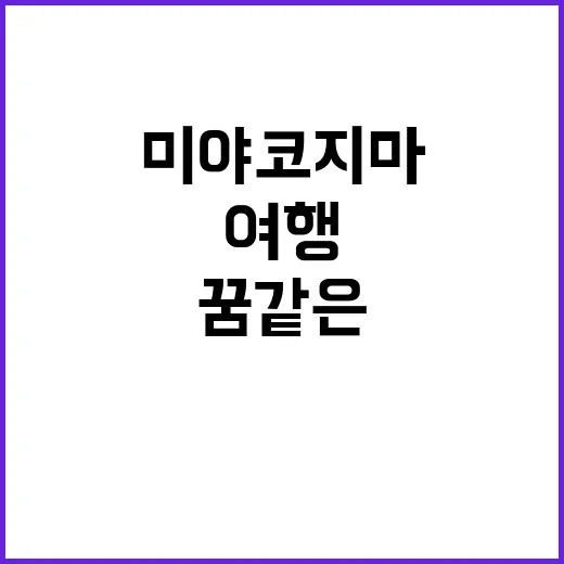 미야코지마에서 꿈같…