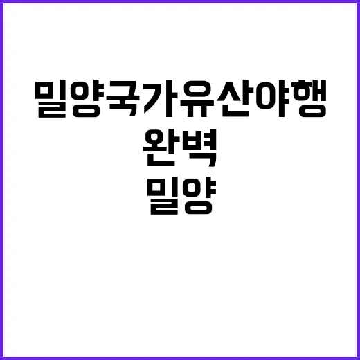 밀양국가유산야행을 완벽하게 즐기는 방법