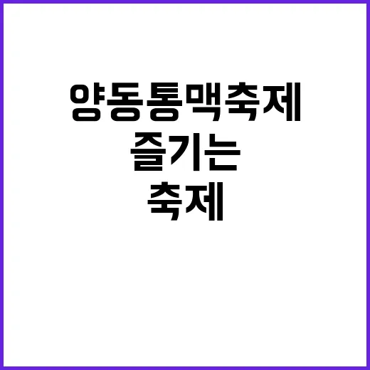 양동통맥축제를 제대로 즐기는 방법