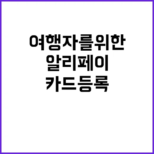 알리페이에 카드 등…