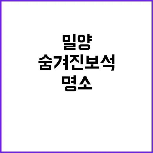 밀양 여행: 꼭 방문해야 할 명소와 숨겨진 보석 찾는 방법