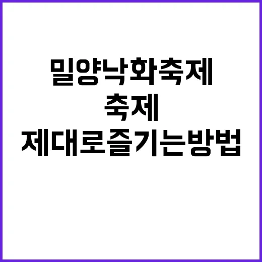 밀양 낙화축제를 제대로 즐기는 방법