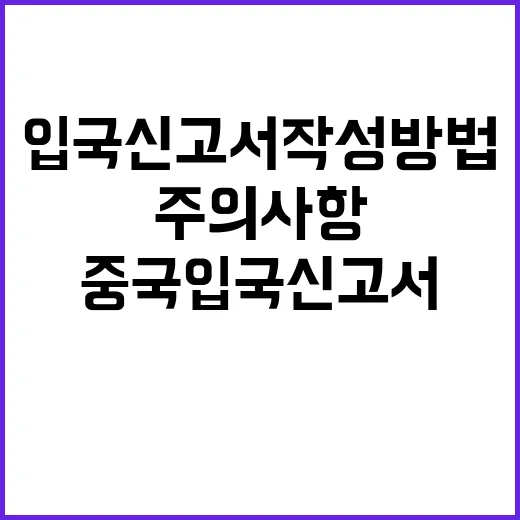 중국 입국신고서 작성 방법과 주의사항