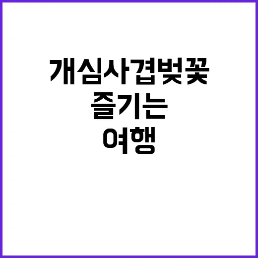 개심사 겹벚꽃을 즐기는 방법: 봄날의 특별한 여행