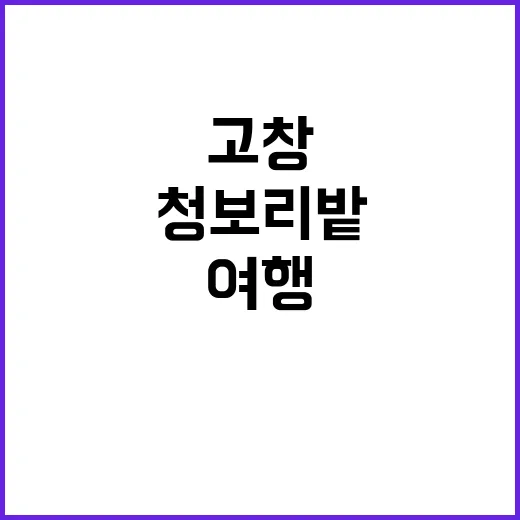 고창 청보리밭에서 …