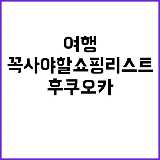 후쿠오카를 여행하며 꼭 사야 할 쇼핑 리스트 작성법