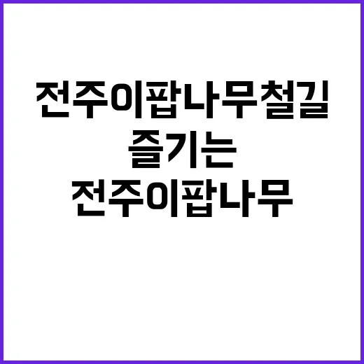 전주 이팝나무 철길을 즐기는 방법