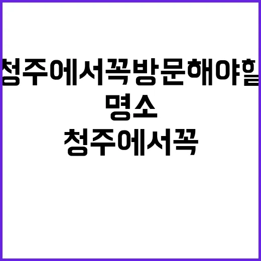 청주에서 꼭 방문해야 할 명소를 발견하는 방법