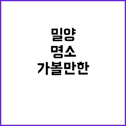 밀양에서 가볼만한 명소를 탐험하는 방법