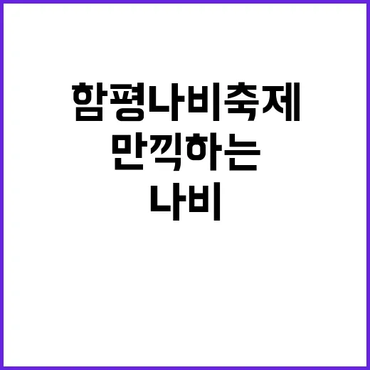 함평 나비축제를 만끽하는 방법