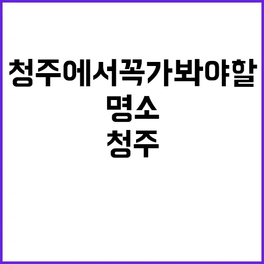 청주에서 꼭 가봐야…