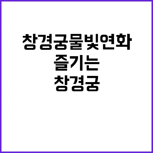 창경궁 물빛연화를 즐기는 방법