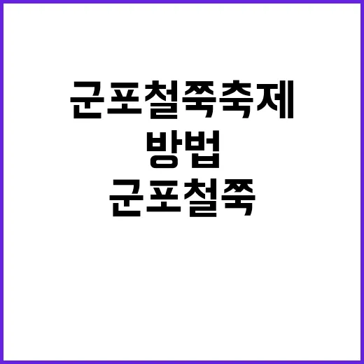 군포 철쭉축제를 만끽하는 방법