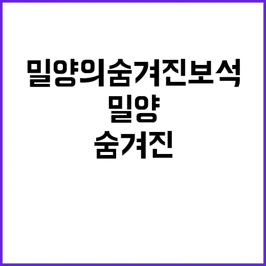 밀양의 숨겨진 보석을 발견하는 방법
